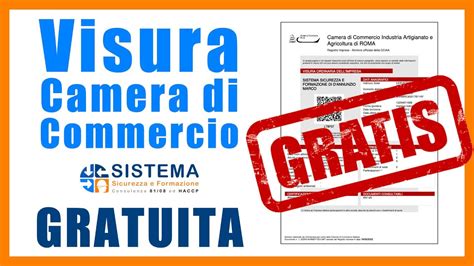 visura camerale gratis con smart card|visura camera telematico.